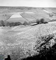 Farndale